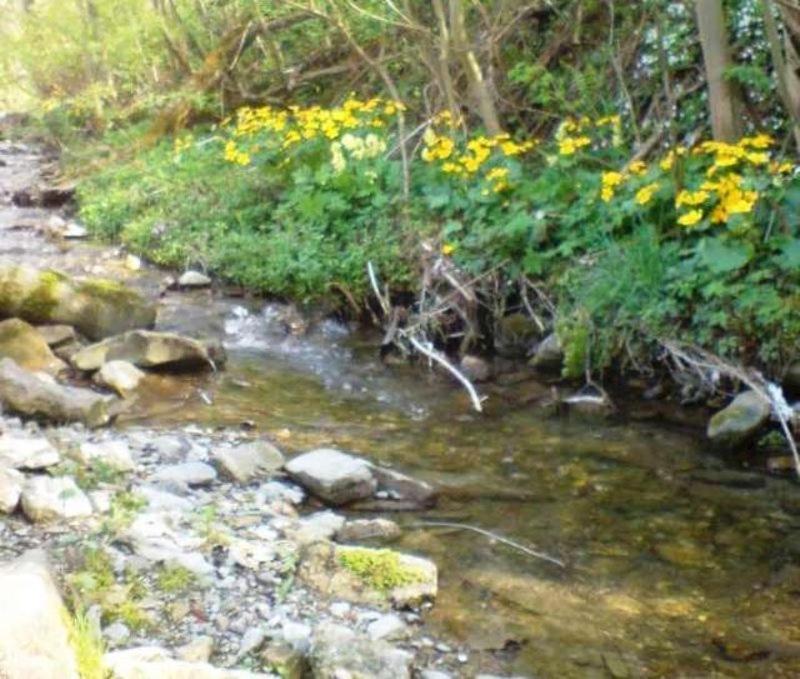 Chata Pod Orechom Terchová Dış mekan fotoğraf